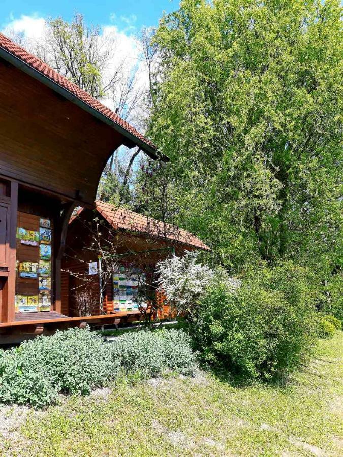 Guesthouse Pri Cebelici Lukovica pri Domžalah Extérieur photo