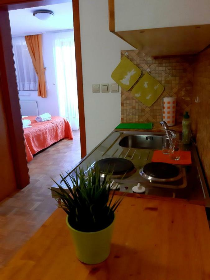 Guesthouse Pri Cebelici Lukovica pri Domžalah Extérieur photo